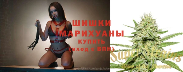 крисы Липки