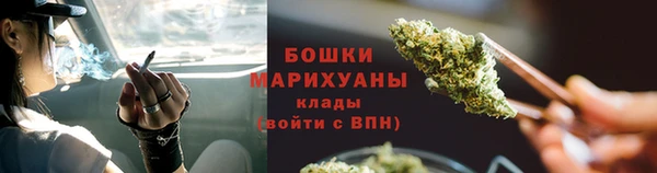 крисы Липки