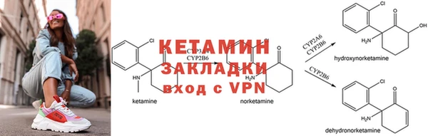 ГАЛЛЮЦИНОГЕННЫЕ ГРИБЫ Лагань