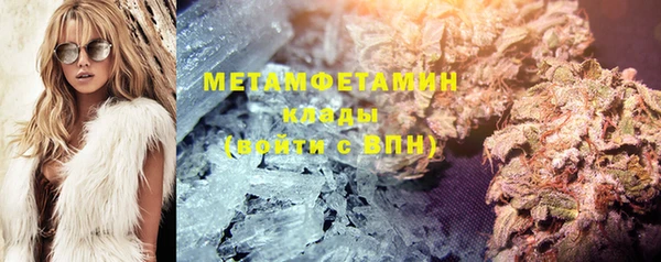 ГАЛЛЮЦИНОГЕННЫЕ ГРИБЫ Лагань
