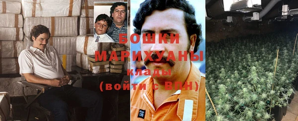 крисы Липки