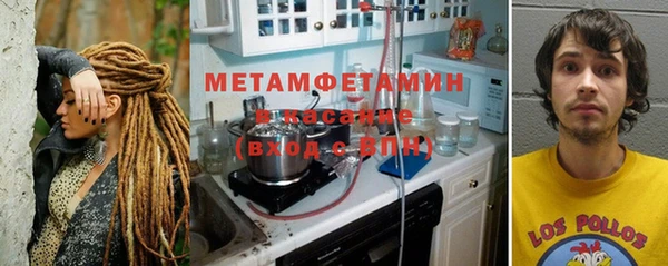ГАЛЛЮЦИНОГЕННЫЕ ГРИБЫ Лагань