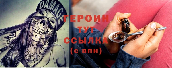 ГАЛЛЮЦИНОГЕННЫЕ ГРИБЫ Лагань