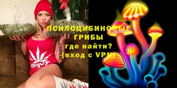 спайс Ладушкин