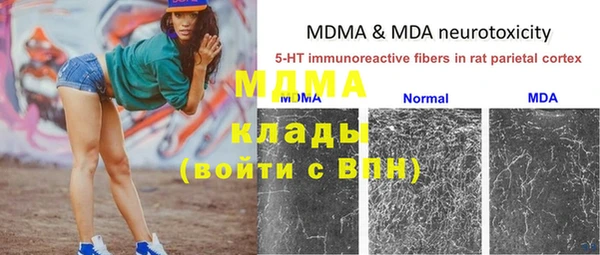 ГАЛЛЮЦИНОГЕННЫЕ ГРИБЫ Лагань