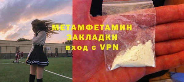 ГАЛЛЮЦИНОГЕННЫЕ ГРИБЫ Лагань