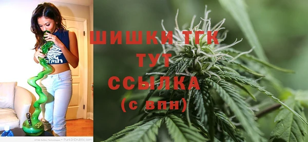 спайс Ладушкин